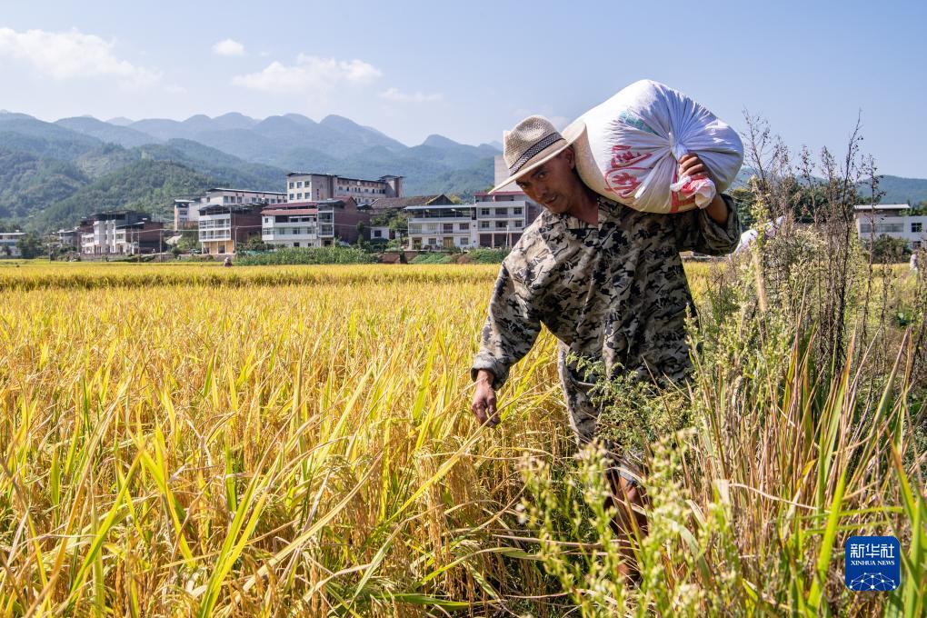 可以赢钱提现金
